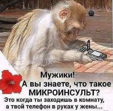 А вы знаете что такое ь 91 микроинсультг Это когда ты заходишь в комнату а твой телефон в руках у жены