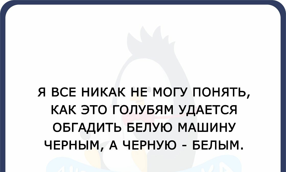 Я ВСЕ НИКАК НЕ МОГУ ПОНЯТЬ КАК ЭТО ГОЛУБЯМ УДАЕТСЯ ОБГАДИТЬ БЕЛУЮ МАШИНУ ЧЕРНЫМ А ЧЕРНУЮ БЕЛЫМ
