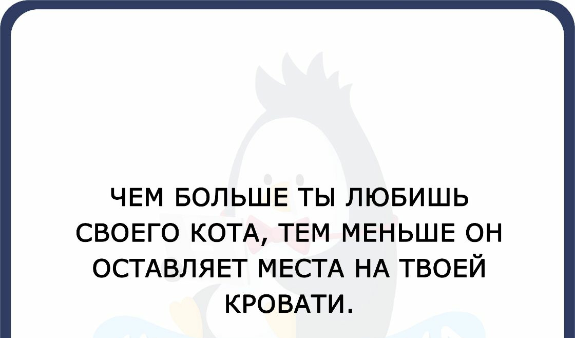 ЧЕМ БОЛЬШЕ ТЫ ЛЮБИШЬ СВОЕГО КОТА ТЕМ МЕНЬШЕ ОН ОСТАВЛЯЕТ МЕСТА НА ТВОЕЙ КРОВАТИ