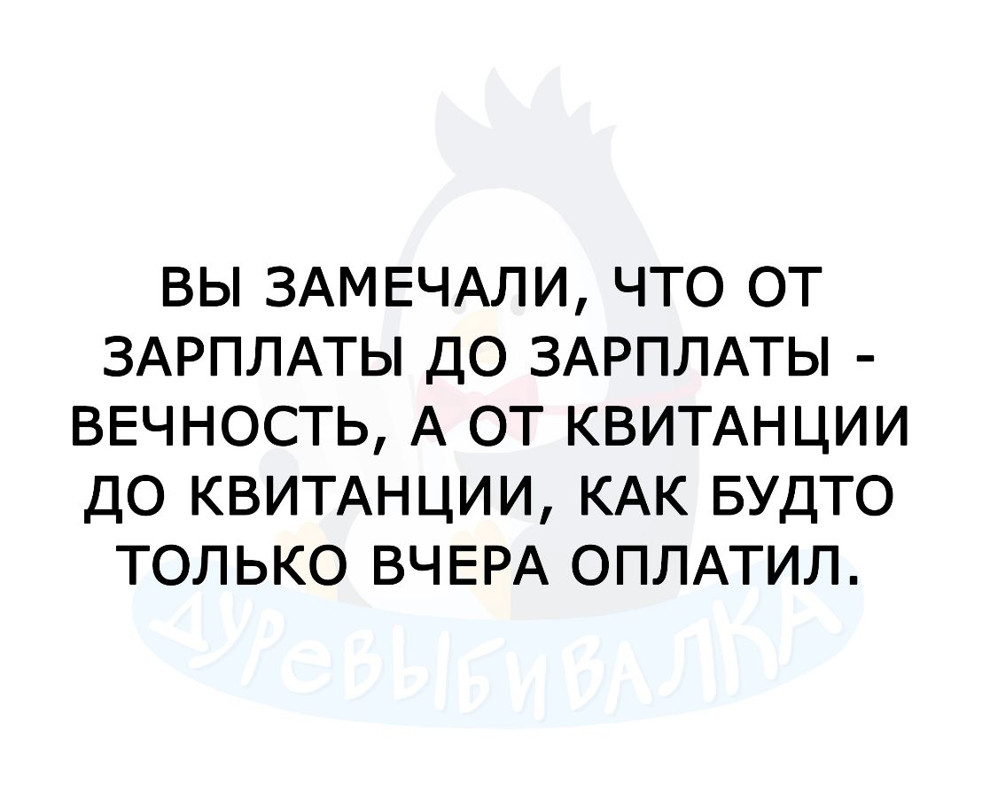 ВЫ ЗАМЕЧАЛИ ЧТО ОТ ЗАРПЛАТЫ ДО ЗАРПЛАТЫ ВЕЧНОСТЬ А ОТ КВИТАНЦИИ ДО КВИТАНЦИИ КАК БУДТО ТОЛЬКО ВЧЕРА ОПЛАТИЛ