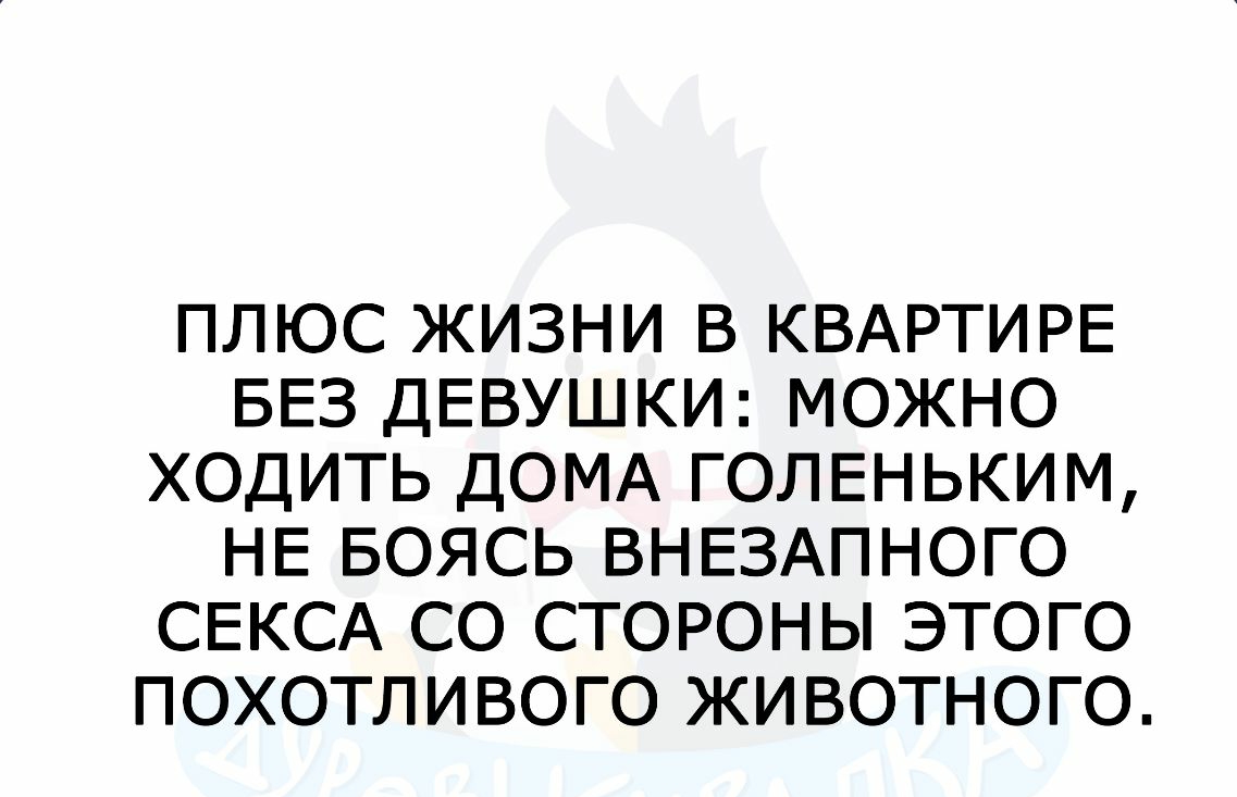 ПЛЮС ЖИЗНИ В КВАРТИРЕ БЕЗ ДЕВУШКИ МОЖНО ХОДИТЬ ДОМА ГОЛЕНЬКИМ НЕ БОЯСЬ  ВНЕЗАПНОГО СЕКСА СО СТОРОНЫ ЭТОГО ПОХОТЛИВОГО ЖИВОТНОГО - выпуск №275522