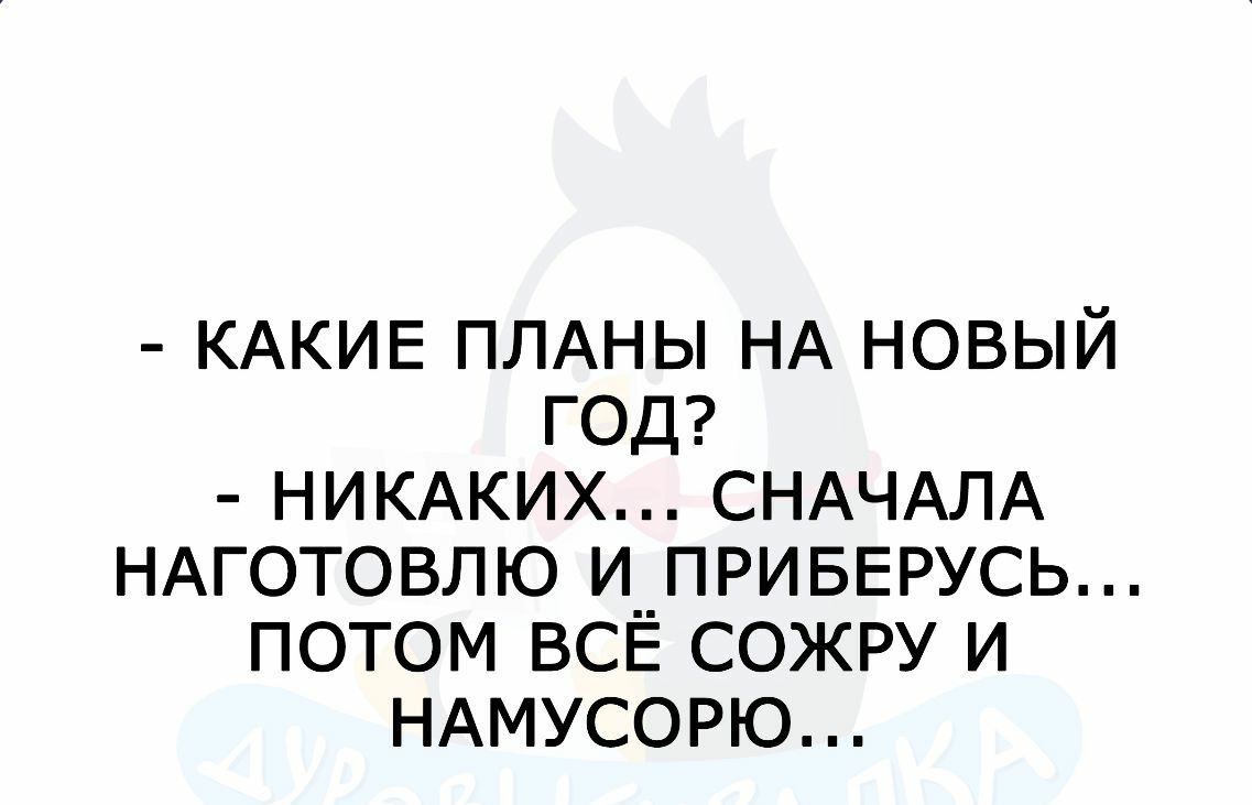 КАКИЕ ПЛАНЫ НА НОВЫЙ ГОД НИКАКИХ СНАЧАЛА НАГОТОВЛЮ И ПРИБЕРУСЬ ПОТОМ ВСЁ СОЖРУ И НАМУСОРЮ
