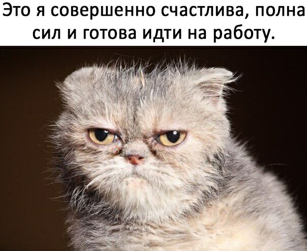 ЭТО Я СОВЕРШЕННО СЧЗСТЛИВЗ ПОЛНЗ СИЛ И ГОТОВЗ ИдТИ на работу