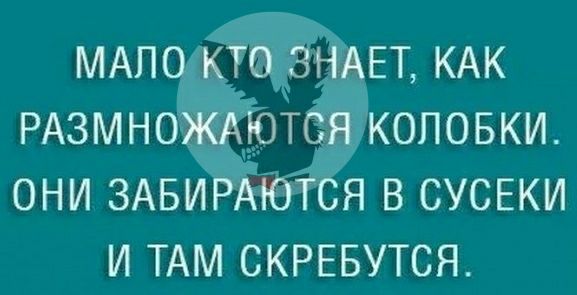 МАПО кт ЗНАЕТ КАК РАЗМНОЖАЮТЁЯ коповки они ЗАБИРАЮТСЯ в СУСЕКИ и ТАМ скрввутся