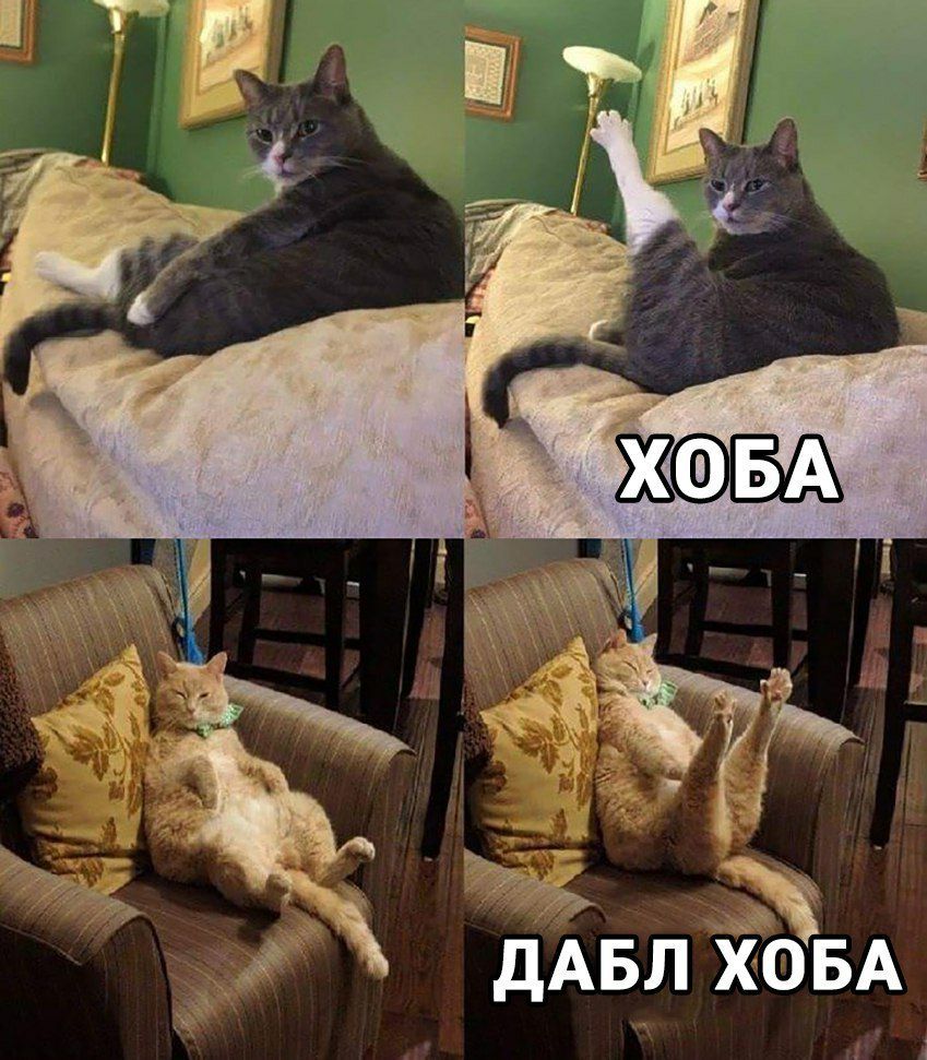 _ вы д _ в Ж _э дАвл ховА