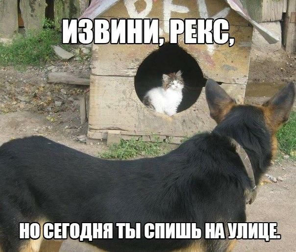 0 ВЕЁНП ТЫ ШШШ ЩЁШИЩЕ