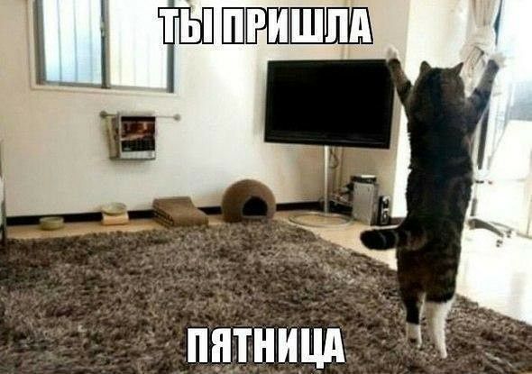 пцтницд