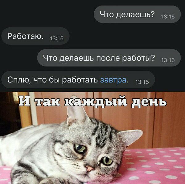 Что делаешь 1315 Работаю 5 Что делаешь после работы 1315 Сплю что бы работать завтра 1315 аЁйй деЁнь