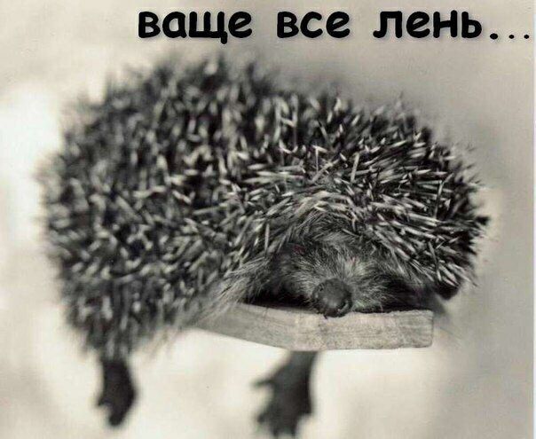 ваще все ЛЗНЬ