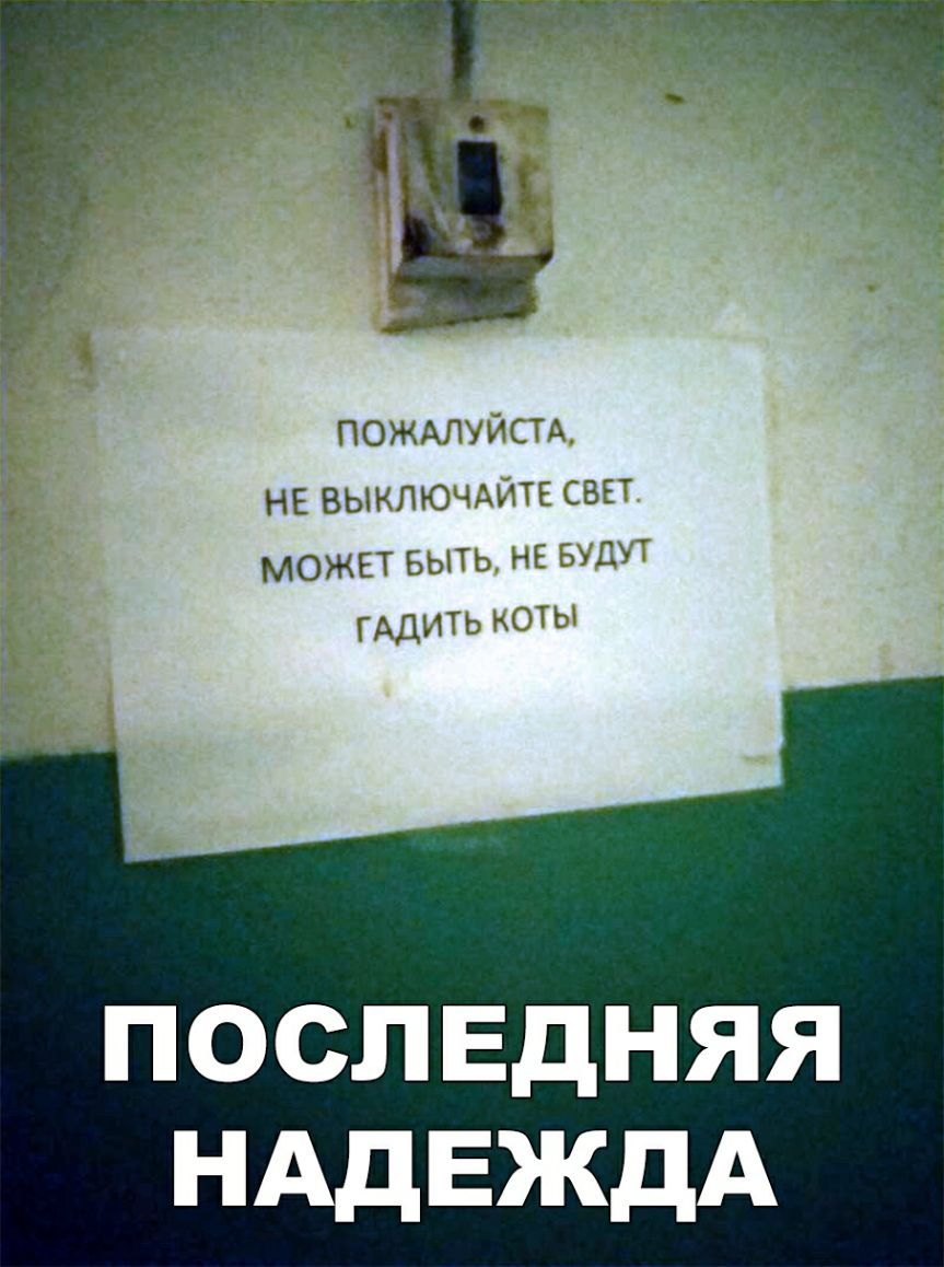 ПОЖАлуистд НЕ ВЫКЛЮЧАИТЕ СВЕТ МОЖЕТ Быть нг гу ГАДИТЬ послвдняя НАдЕЖдА