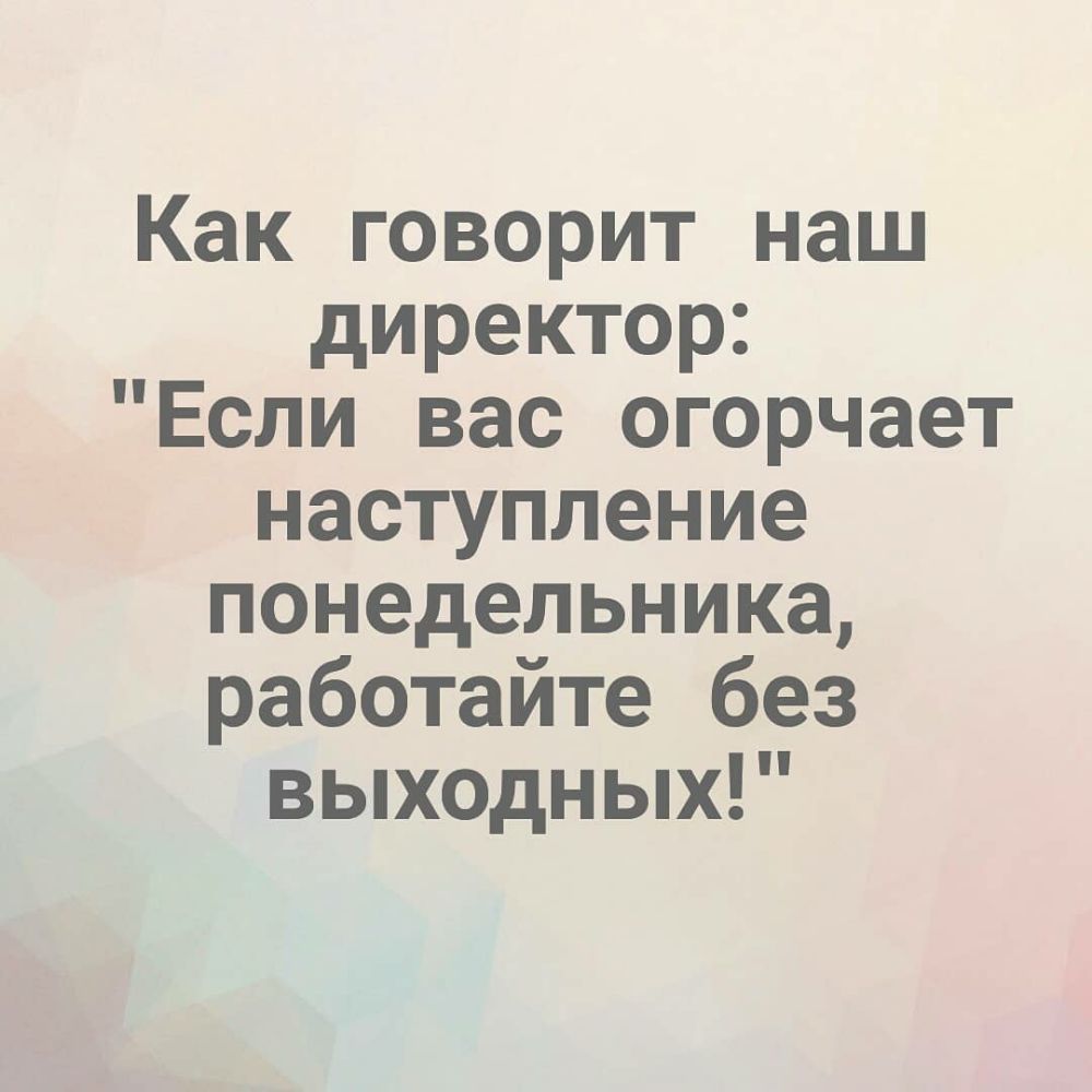 Как говорит наш директор Если вас огорчает наступление понедельника работайте без выходных