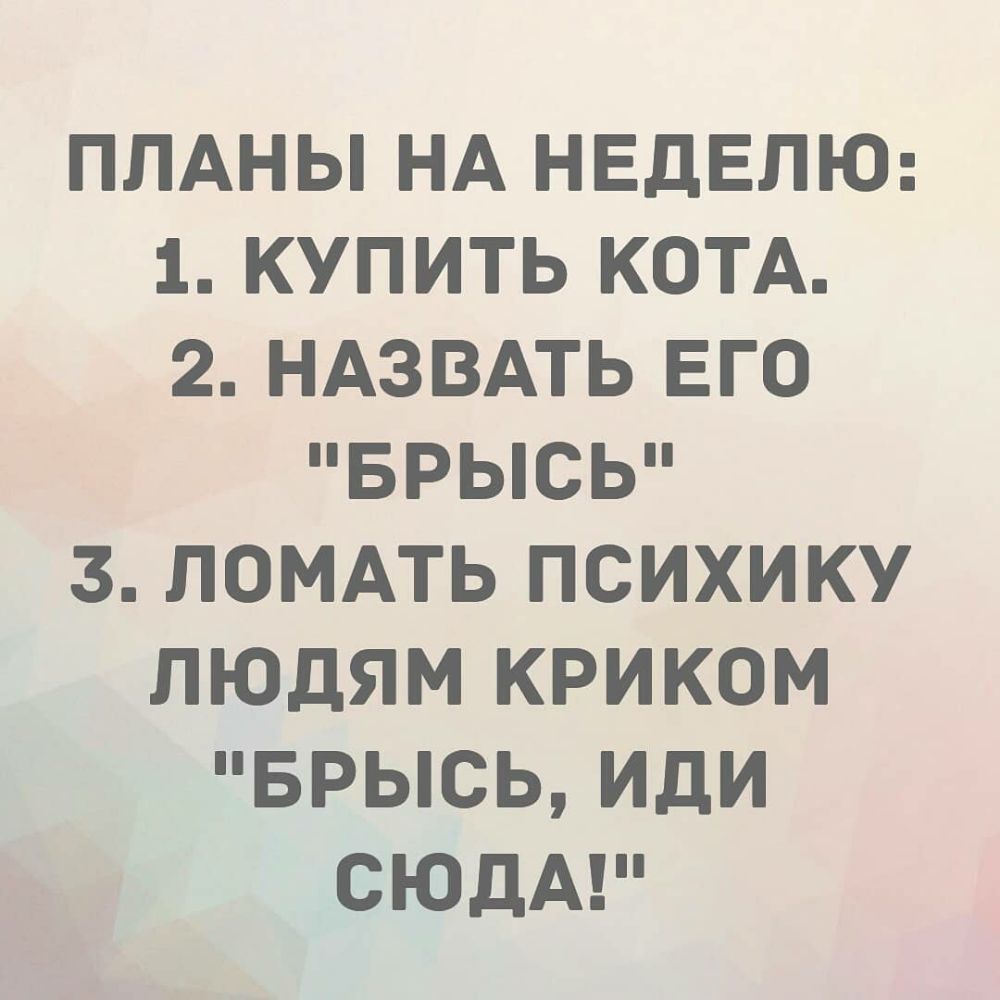 ПЛАНЫ НА НЕДЕЛЮ 1 КУПИТЬ КОТА 2 НАЗВАТЬ ЕГО БРЫСЬ 3 ЛОМАТЬ ПСИХИКУ ЛЮДЯМ КРИКОМ БРЫСЬ ИДИ СЮДА