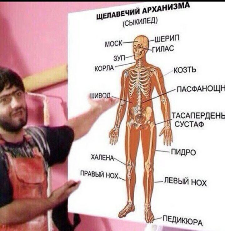 КОЗТЬ ПАСФАНО ЩН ТАСАПЕРДЕН Ь і СУСТАФ