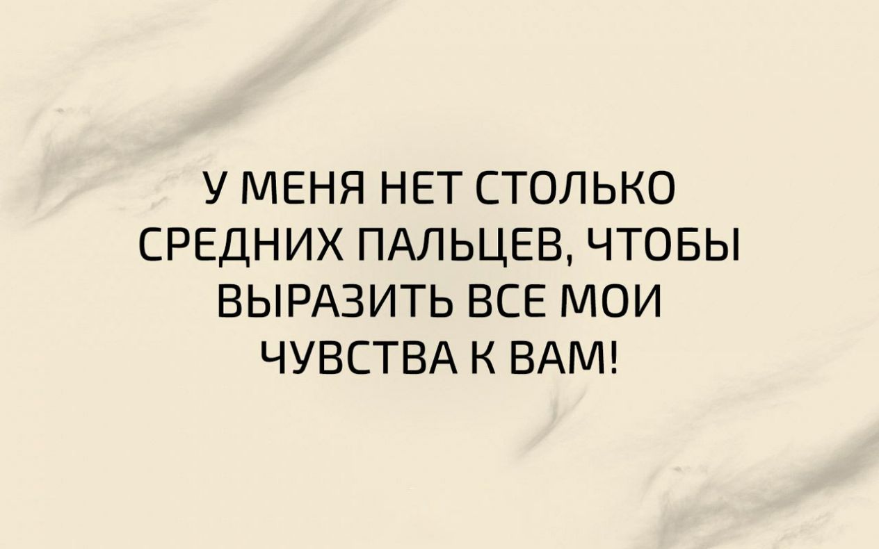 У МЕНЯ НЕТ СТОЛЬКО СРЕДНИХ ПАЛЬЦЕВ ЧТОБЫ ВЫРАЗИТЬ ВСЕ МОИ ЧУВСТВА К ВАМ
