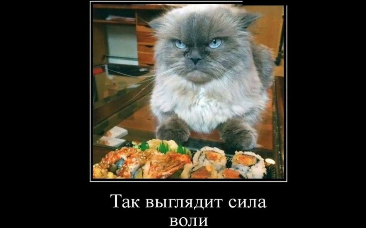 Так выглядит сила воли