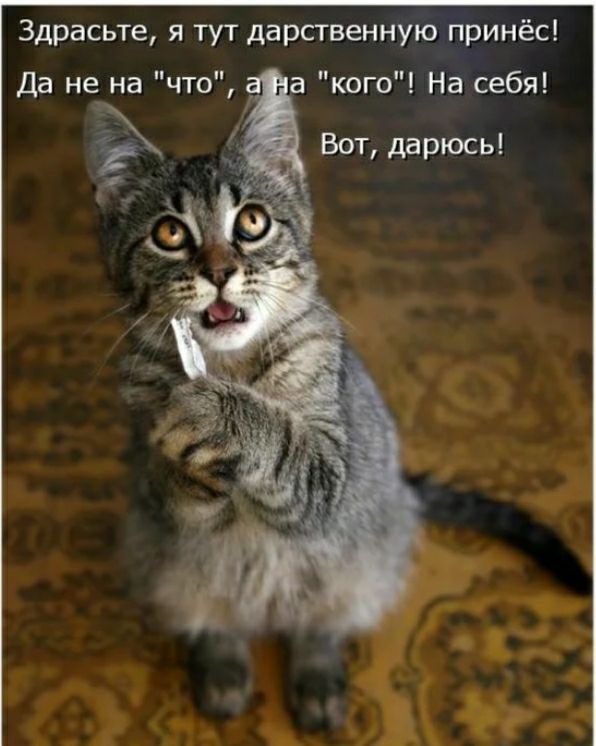 Здрасьте я тут дарственную принёс Да не на что а кого На себя Вот дарюсь