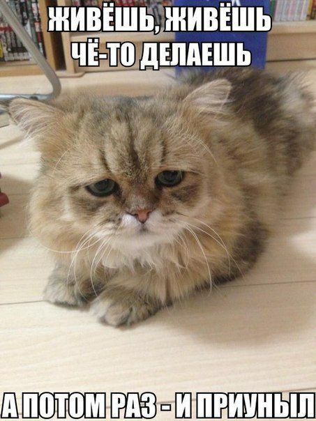 живёшь йИВЁ ШЬШ ЧЁ ТП дЕЛдЕШЬ