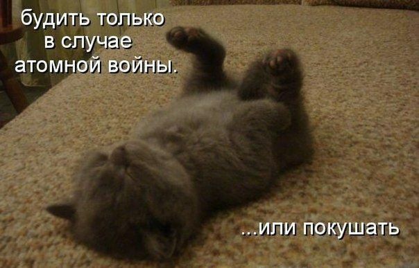 будить только в случае атомной войны или ПОКУШЭТЬ