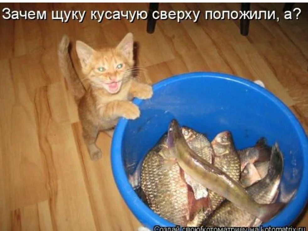 Зачем щуку кусачую сверху положили а