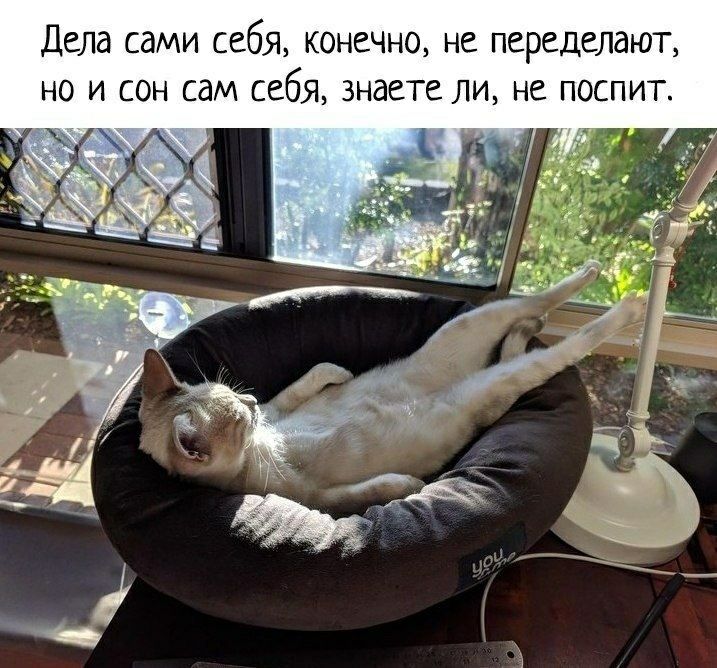 Дела СдМИ себя КОНЕЧНО НС ПСРСДСЛдЮТ НО И СОН сам себя знаете ЛИ НС ПОСПИТ _