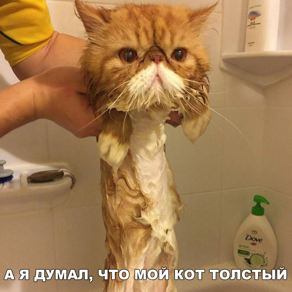 Ц я думдл что маи чКОЗГ юлвлтыи