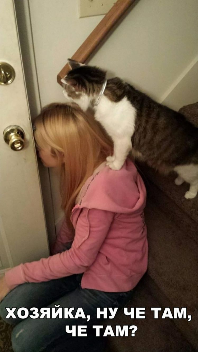 хозяйкд ну ЧЕ тдм ЧЕ ТАМ
