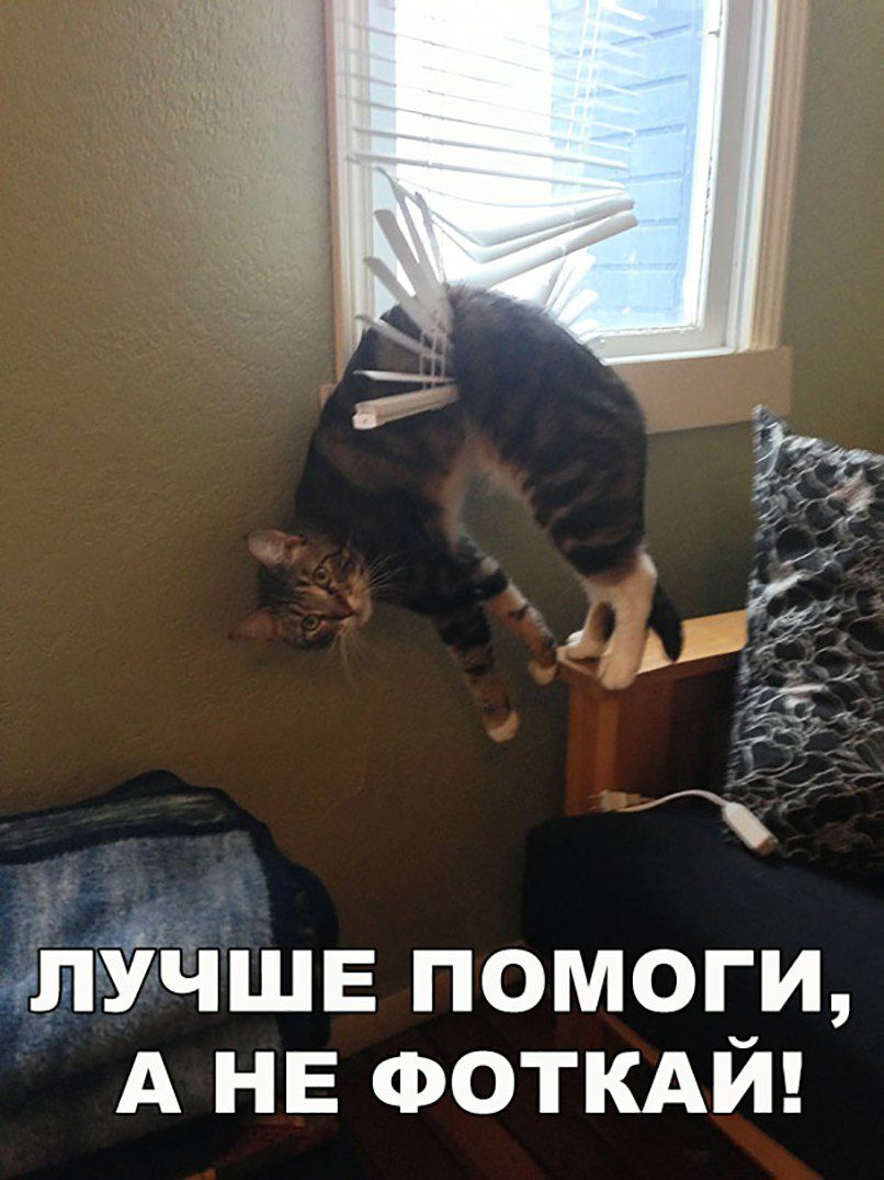 ЩЁЧШЕ помоги А НЕ ФОТКАЙ