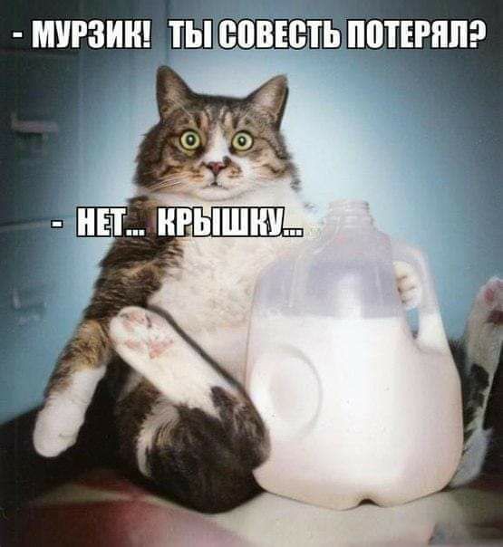 мчгзин Ппвютьіюпгппэ