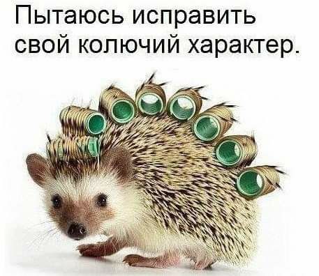 Пытаюсь исправить свой колючий характер