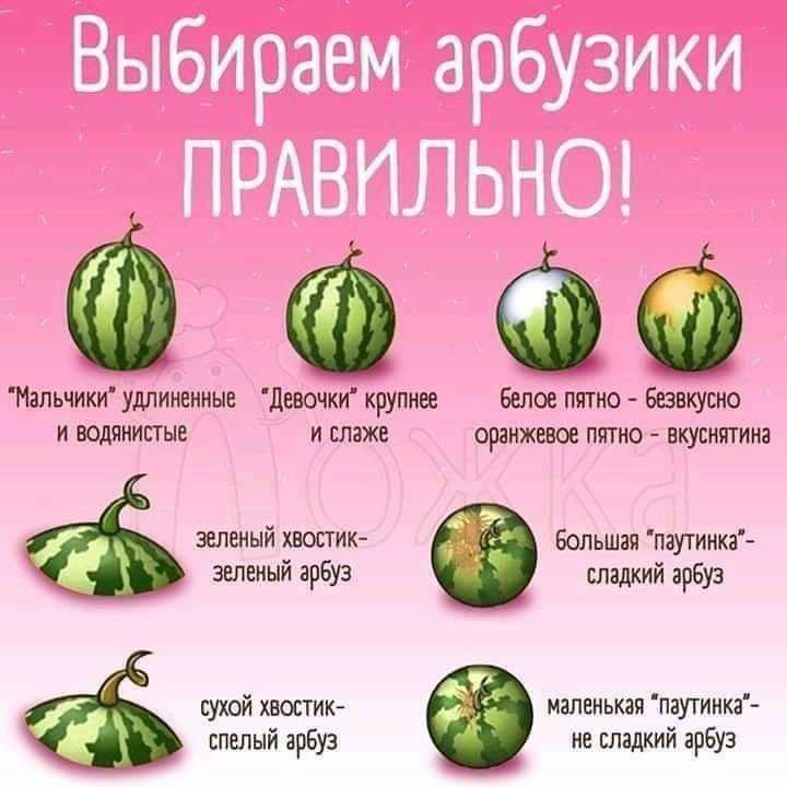 Мальчики удлиненные Девочки крупнее белое пятно безвкусно и водянистые и спаже оранжевое пятно вкуснятина зеленый хвостик эеленый арбуз суюй хвостик маленькая паугинка большя паутинка сладкий арбуз спелый арбуз не сладкий арбуз