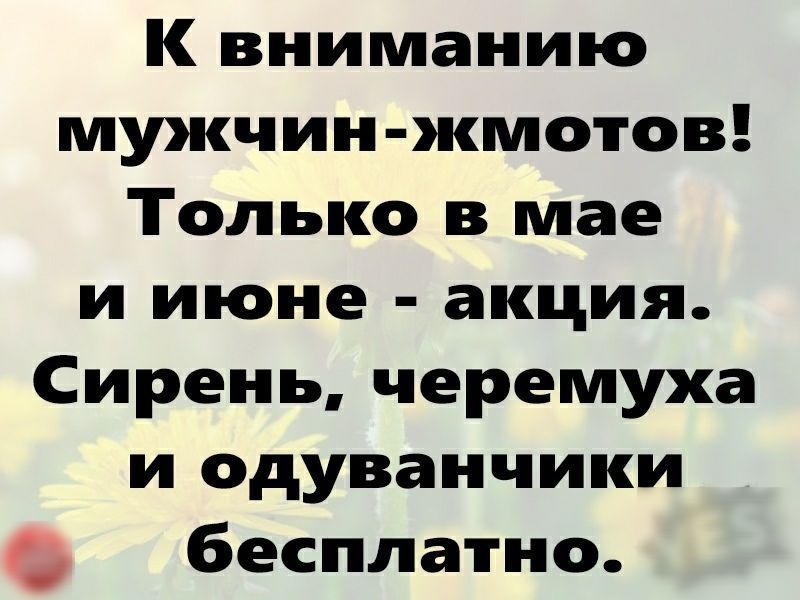 К вниманию мужчин жмотов Только в мае и июне акция Сирень черемуха и одуванчики бесплатно