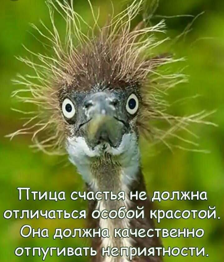 СФТОИ _ СТИ Рмятн Г ТЬСЯ адолжн Честв ОТПу гивать отличи