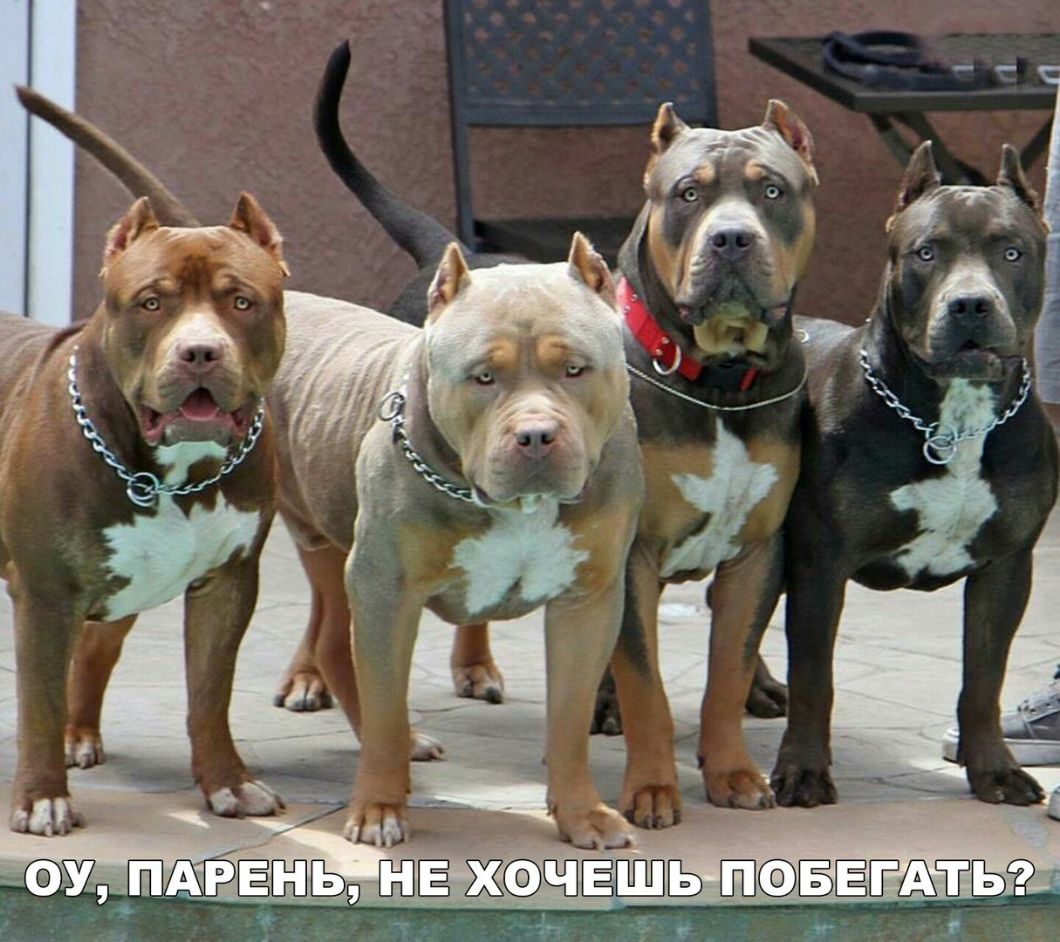 ЖСФЩЕТШЬ ёётььэт т і т у аг
