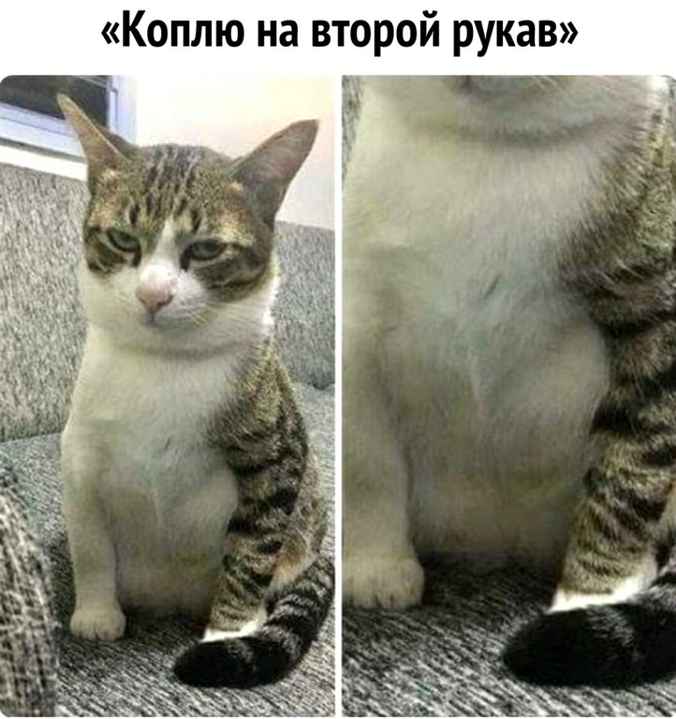 Коплю на второй рукав