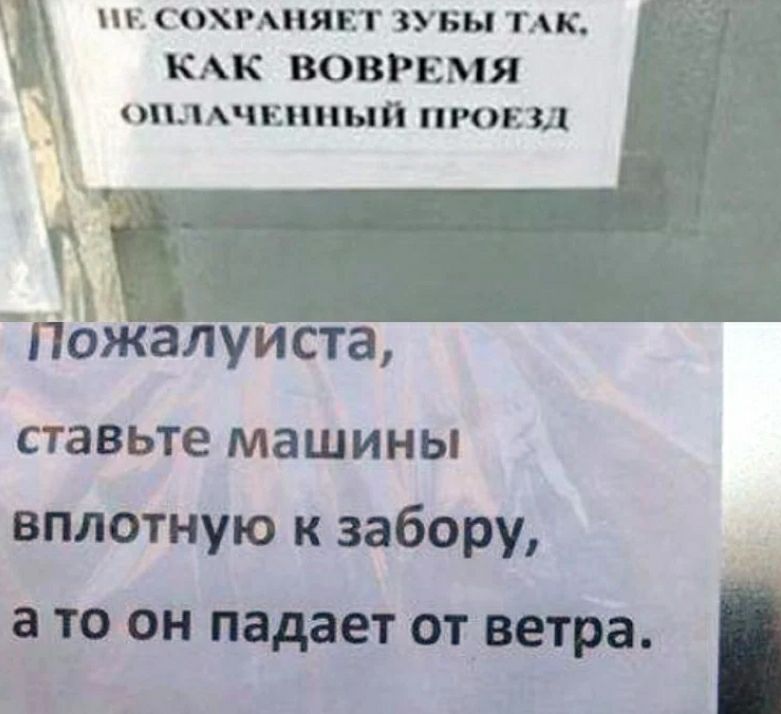 __ СОХРАНЯЕТ ЗУБЫ ТАК КАК ВОВРЕМЯ пидчнипып пронзил Пбжалуиста ставьте машины вплотную к забору а то ой падает отвара дц _ 11