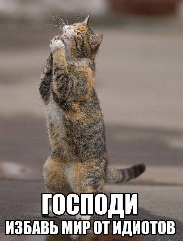 ШШШДИ ИЗБАВЬ МИР П ИДИШПВ