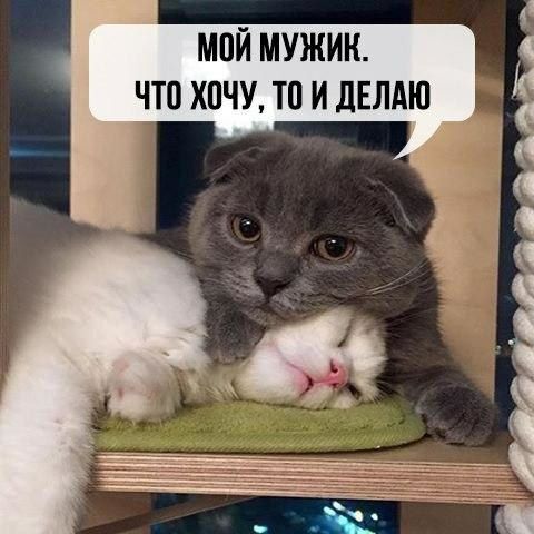 МПЙ МУЖИК ЧТ0 ХПЧУ ТП И ЛЕЛАЮ тіцввЬзяіаэд _