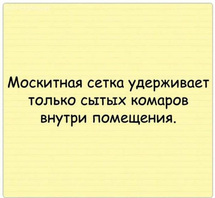 Москитная сетка удерживает только сь1ть1х комаров внутри помещения