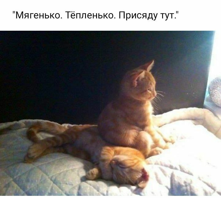 Мягенько Тёпленько Присяду тут
