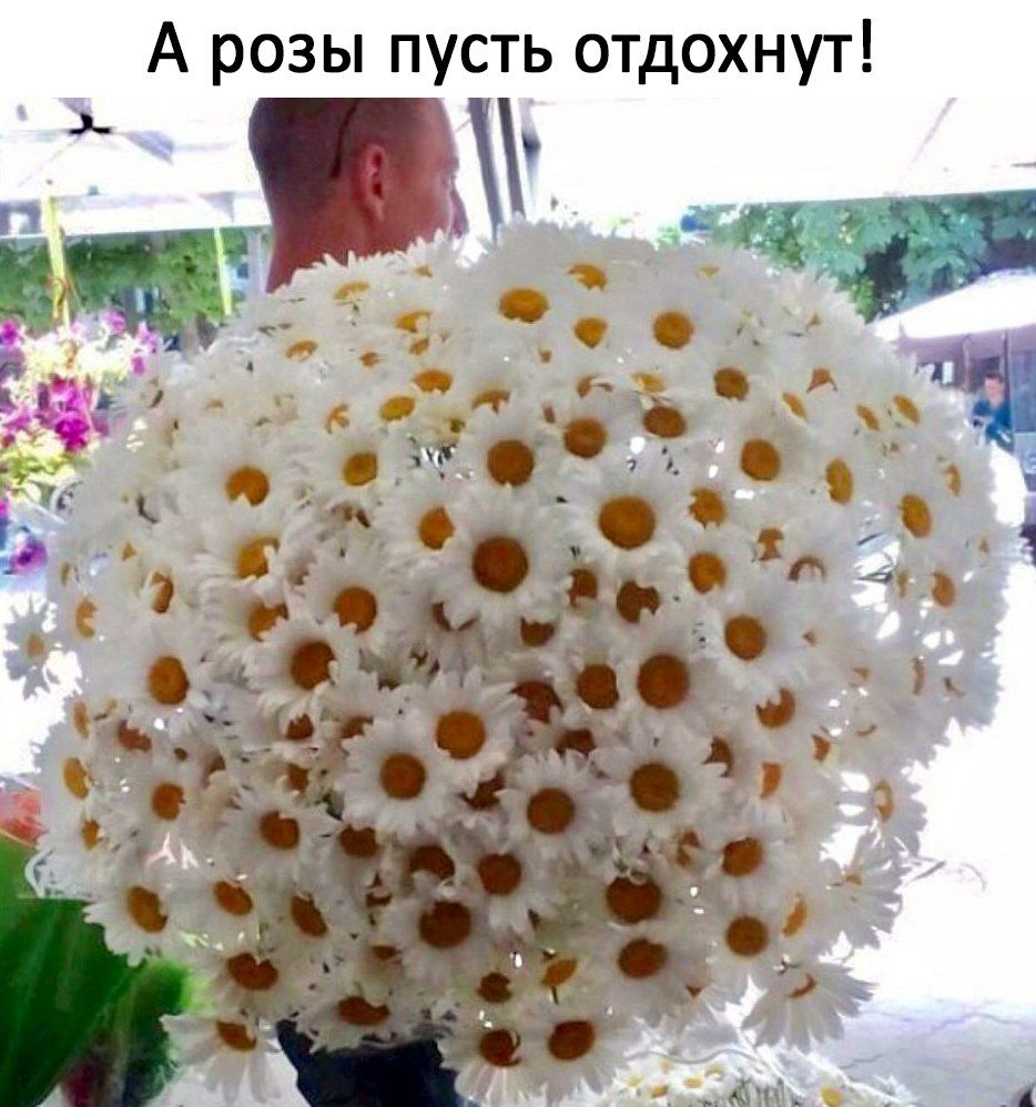 А розы пусть отдохнут