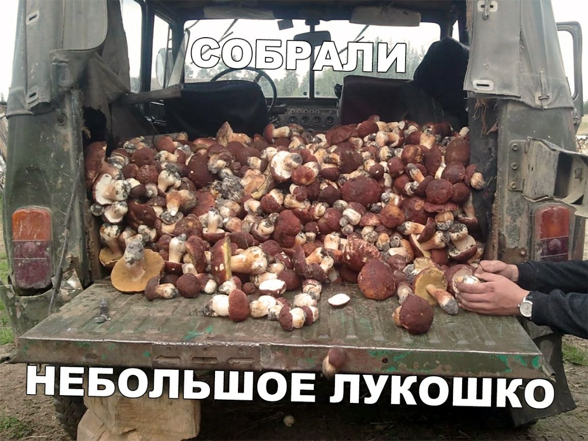 к 1 ОЕ ЛУКОШК О НЕБОПЬШ