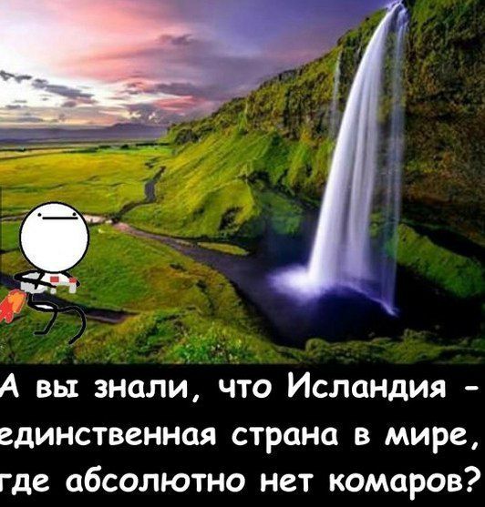 А вы знали что ИслаНДия единственная страна в мире где абсолютно нет комаров
