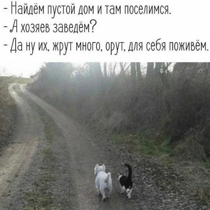 Найдём пустой дом итам поселимся А хозяев заведём Да ну их жрут много орут ДЛЯ себя поживём