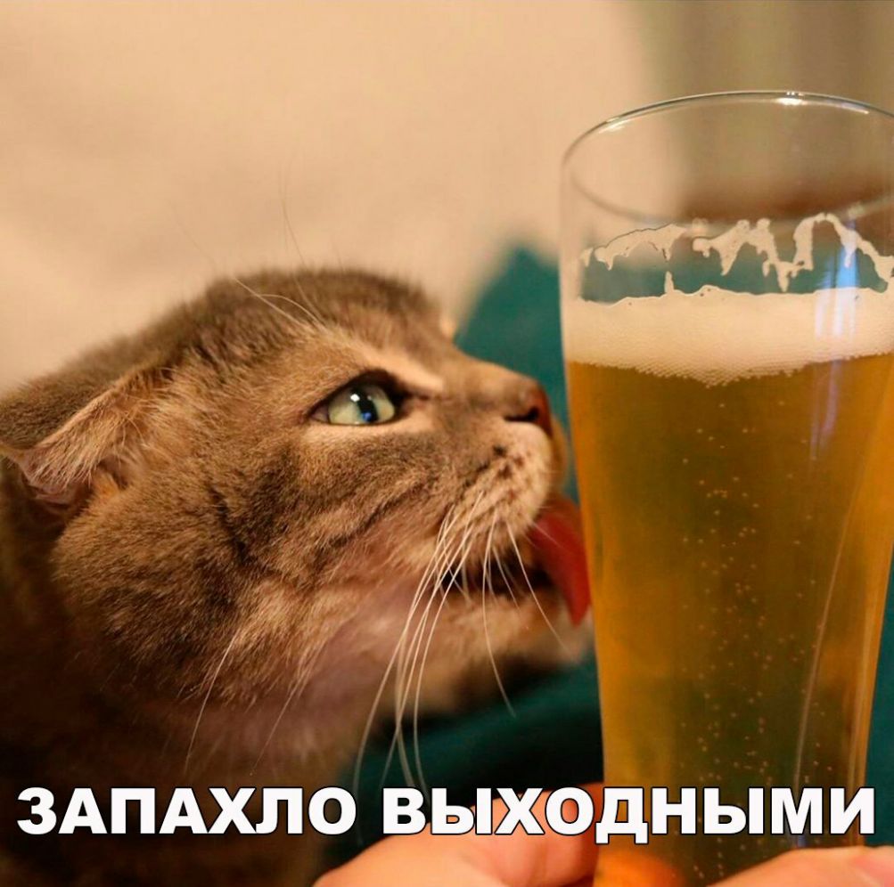 ЗАПАХЛО _ВЬіЕХіідН ЫМИ