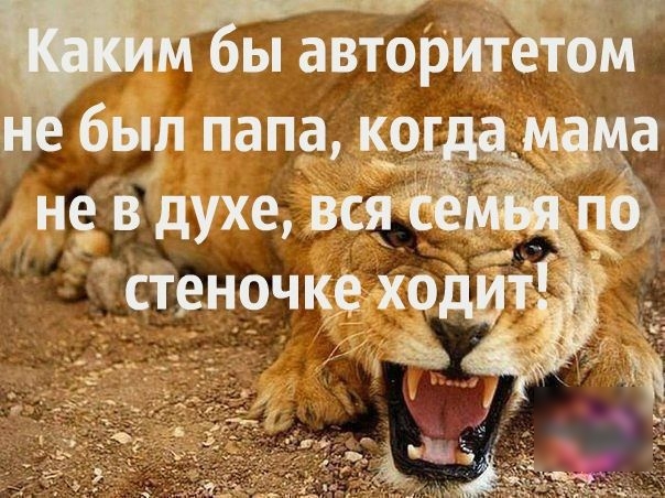 ы автЁритЁтом н был панда н9вдухевсяёё ТЕР стеночке хрдйёі