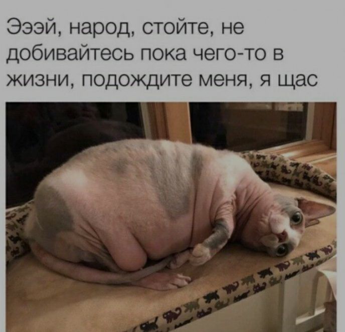 Эээй народ стойте не добивайтеоь пока чегото в жизни подождите меня я щас