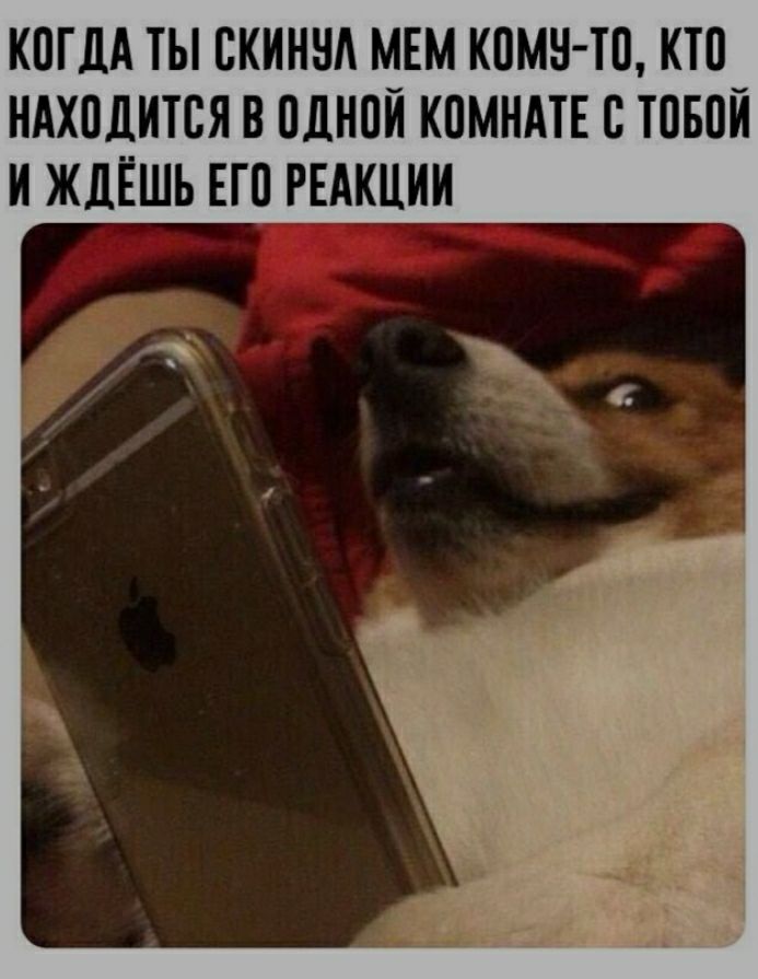 КПГДА ТЫ СКИННА МЕМ ИПМИ ТП КТП_ НАХОДИТСЯ В ПДНПИ КПМНАТЕ С ТПБПИ И ЖДЁШЬ ЕГП РЕАКЦИИ