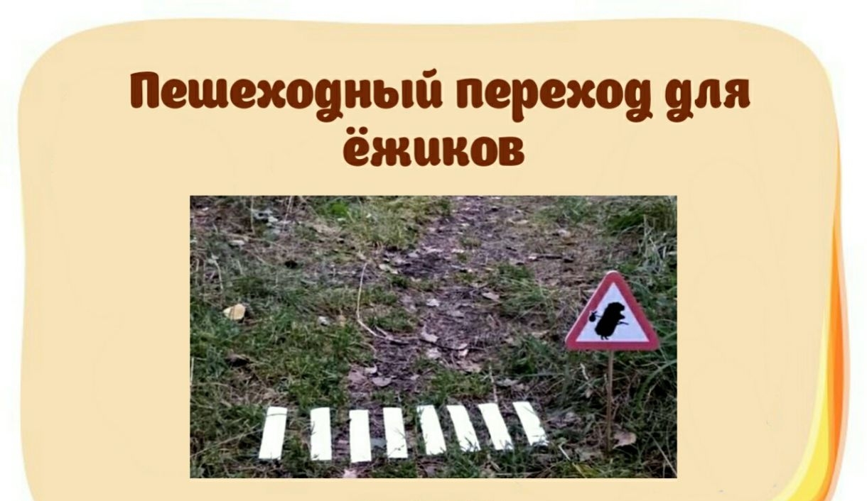 Пешеходный переход для