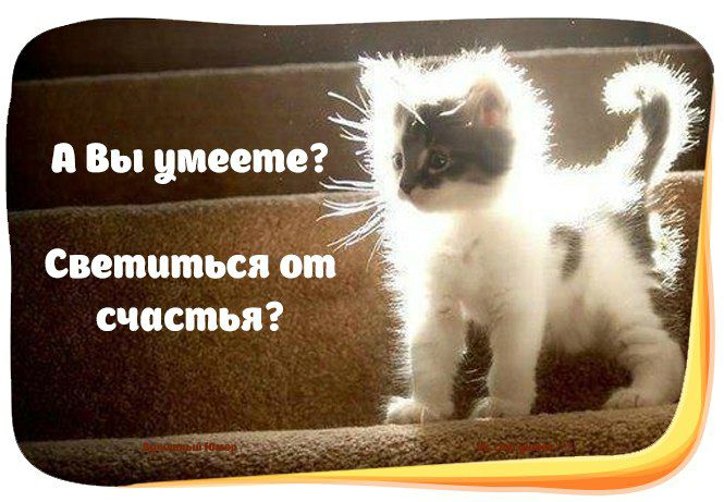 Светпться от счастья