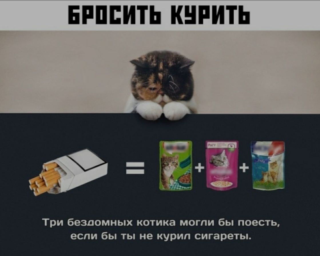 ЕРПЕИТЬ КНРИТЬ Три бездомных котика могли бы поесть если бы ты не курил сигареты